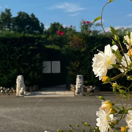 巴尔德酒店 酒店 瓦尔德拉托雷